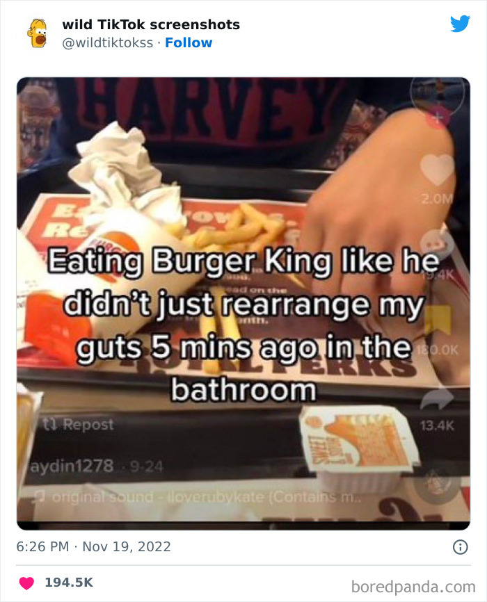 Wild-Screenshots-From-Tiktok