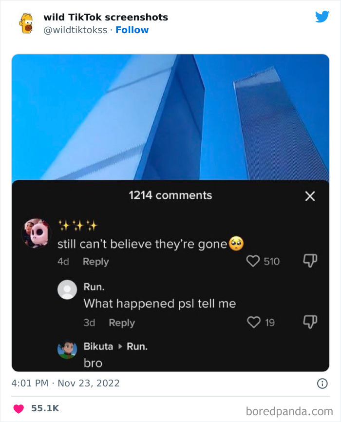 Wild-Screenshots-From-Tiktok