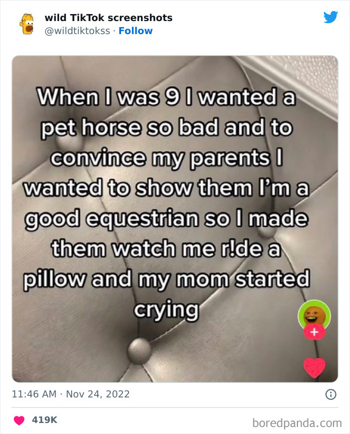 Wild-Screenshots-From-Tiktok