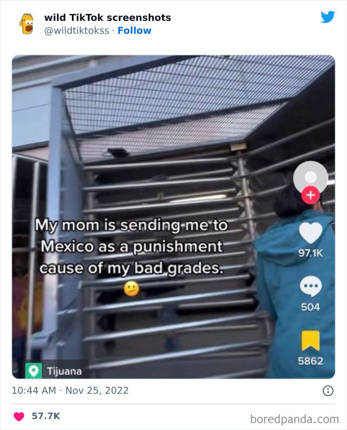 Wild-Screenshots-From-Tiktok