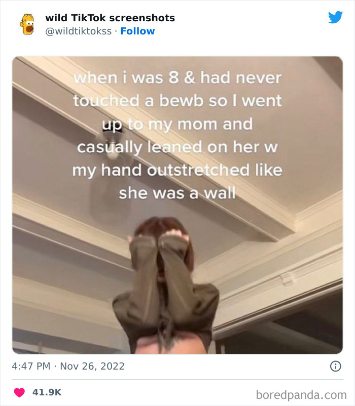 Wild-Screenshots-From-Tiktok