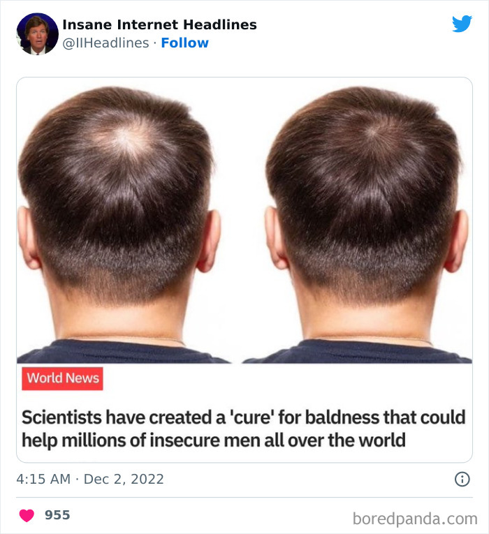 Funny-Insane-Internet-Headlines