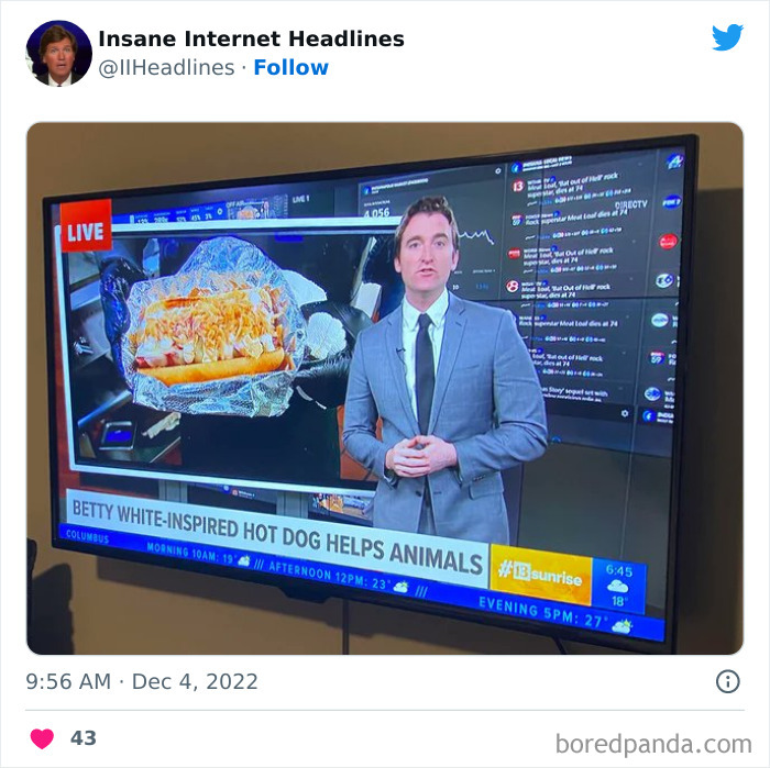 Funny-Insane-Internet-Headlines