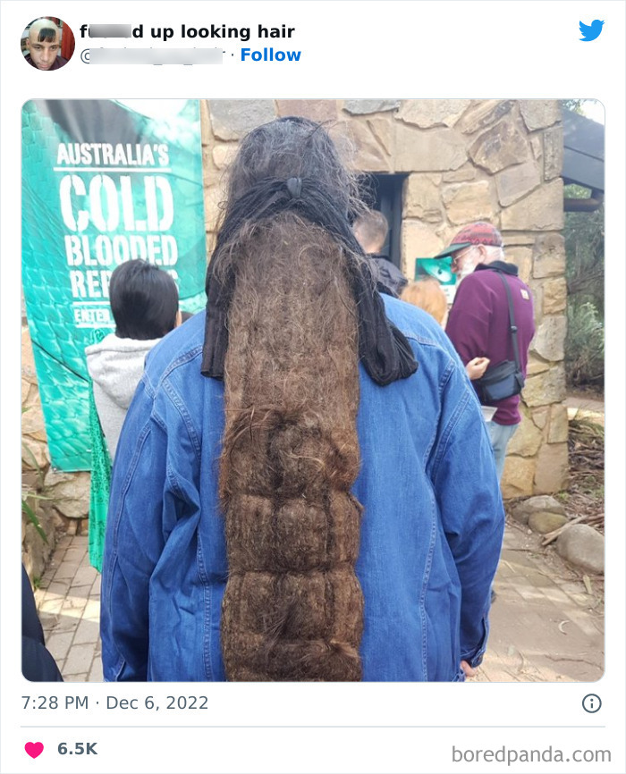 Funny-Weird-Haircuts