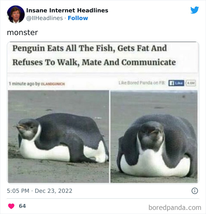 Funny-Insane-Internet-Headlines