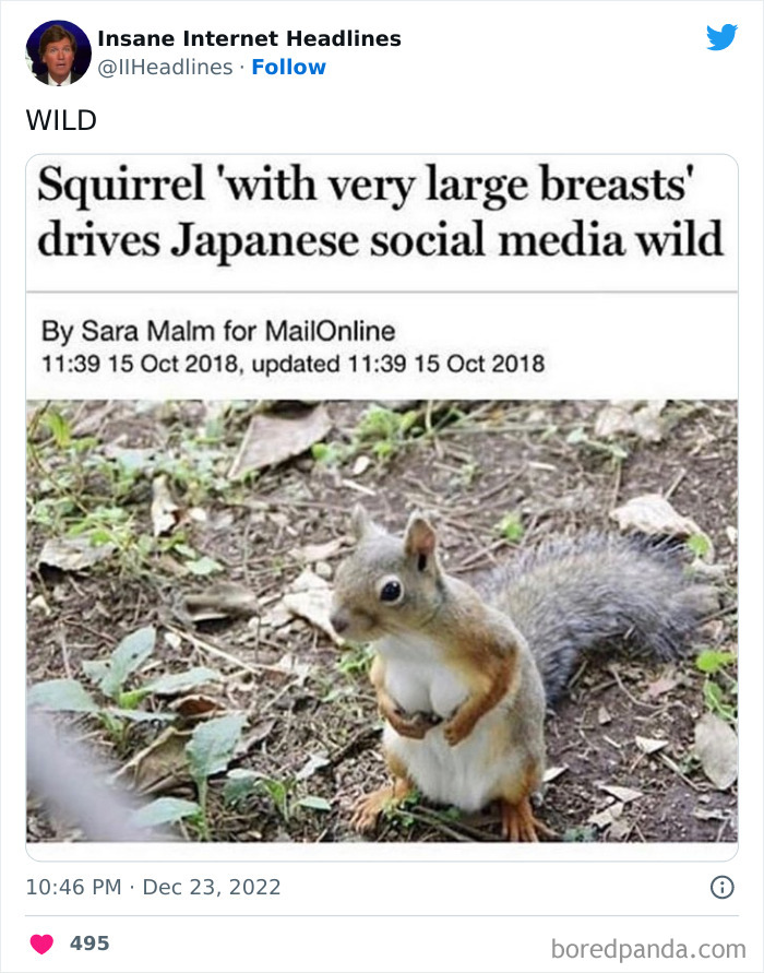 Funny-Insane-Internet-Headlines