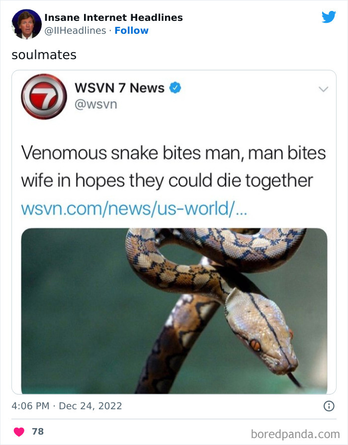 Funny-Insane-Internet-Headlines