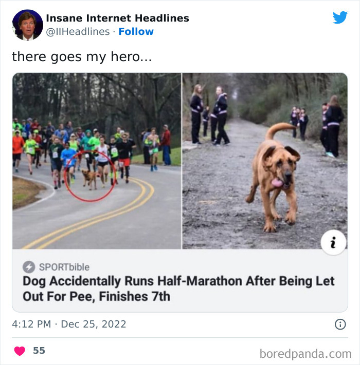 Funny-Insane-Internet-Headlines