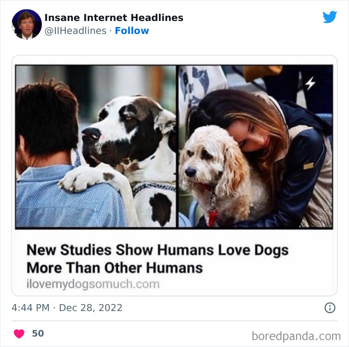 Funny-Insane-Internet-Headlines