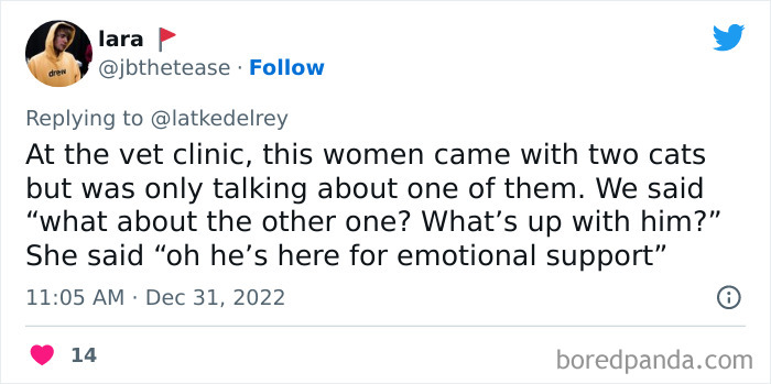 Bonded-Pairs-Of-Cats-Get-Adopted-Together