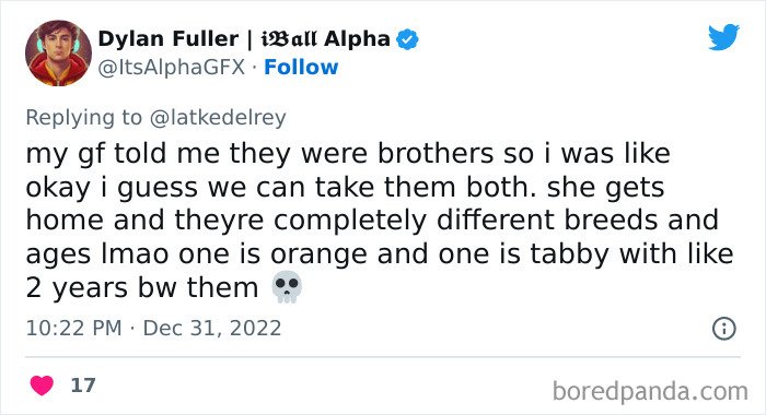 Bonded-Pairs-Of-Cats-Get-Adopted-Together