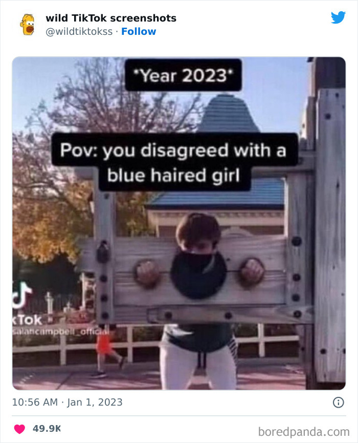 Wild-Screenshots-From-Tiktok