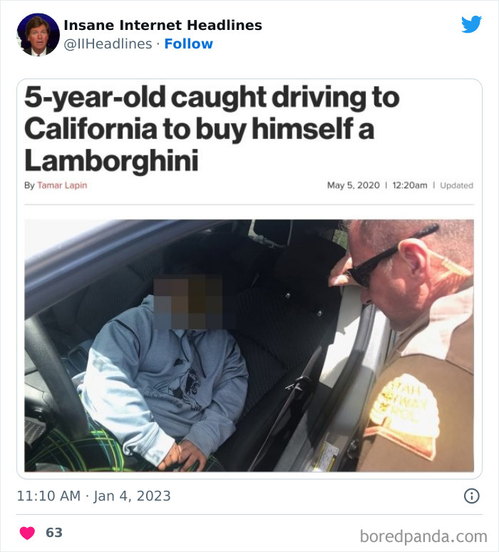 Funny-Insane-Internet-Headlines