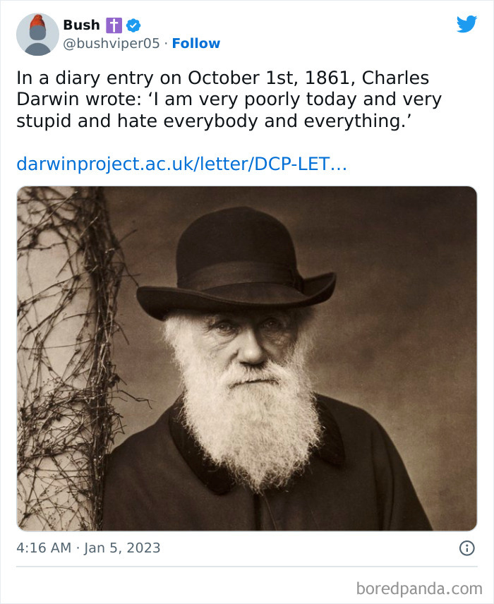 Tastefully-Offensive-Tweets