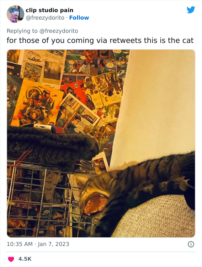 This Hilarious Twitter Thread Has Cats Asking If They're Being Unreasonable