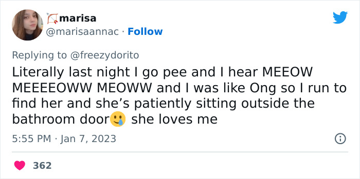 This Hilarious Twitter Thread Has Cats Asking If They're Being Unreasonable