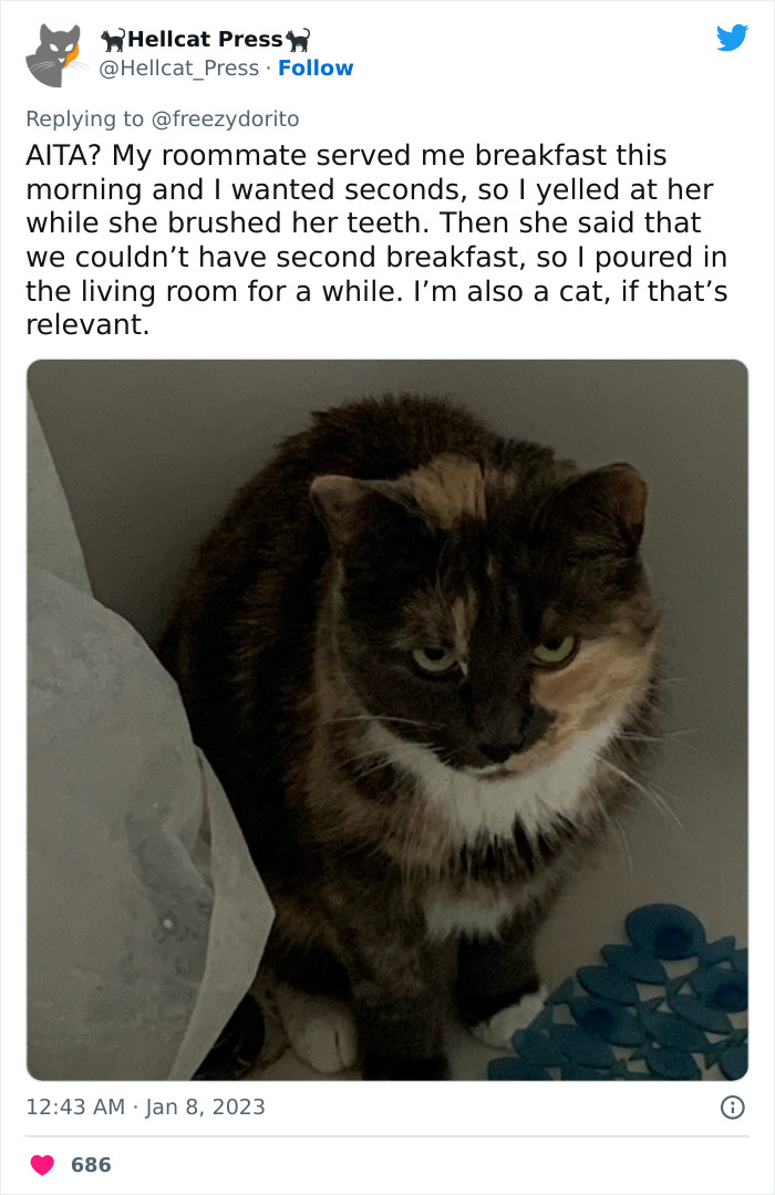 This Hilarious Twitter Thread Has Cats Asking If They're Being Unreasonable