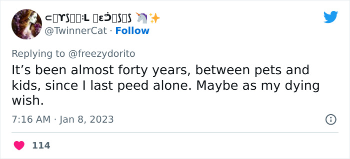 This Hilarious Twitter Thread Has Cats Asking If They're Being Unreasonable