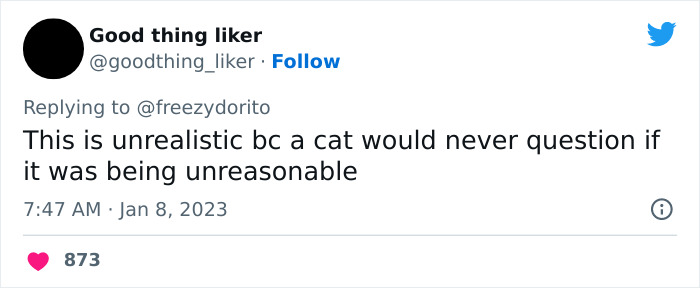 This Hilarious Twitter Thread Has Cats Asking If They're Being Unreasonable