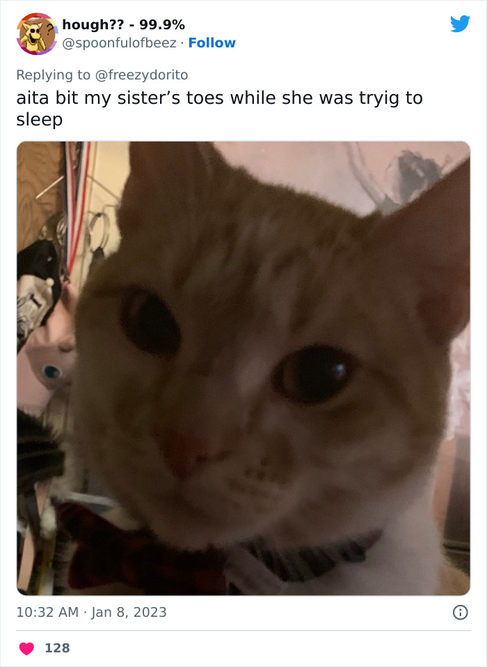 This Hilarious Twitter Thread Has Cats Asking If They're Being Unreasonable