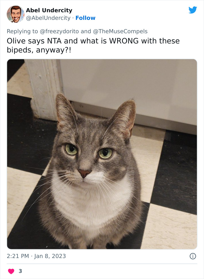 This Hilarious Twitter Thread Has Cats Asking If They're Being Unreasonable