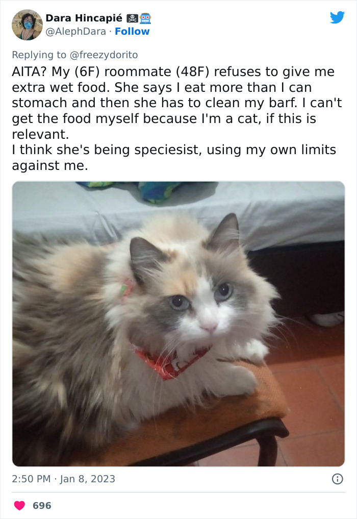 This Hilarious Twitter Thread Has Cats Asking If They're Being Unreasonable