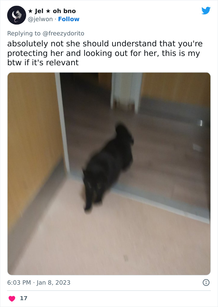 This Hilarious Twitter Thread Has Cats Asking If They're Being Unreasonable