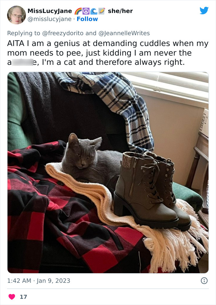 This Hilarious Twitter Thread Has Cats Asking If They're Being Unreasonable