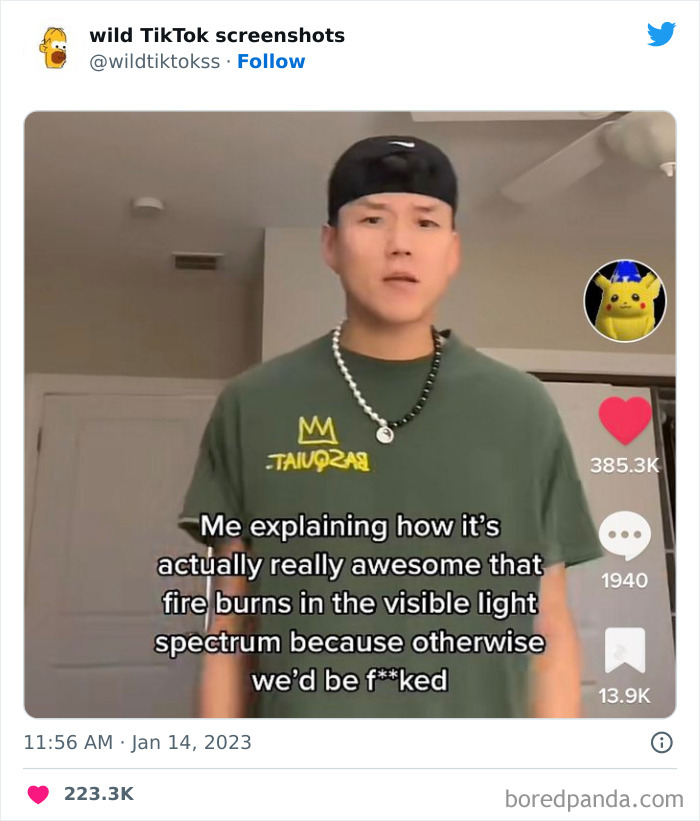 Wild-Screenshots-From-Tiktok