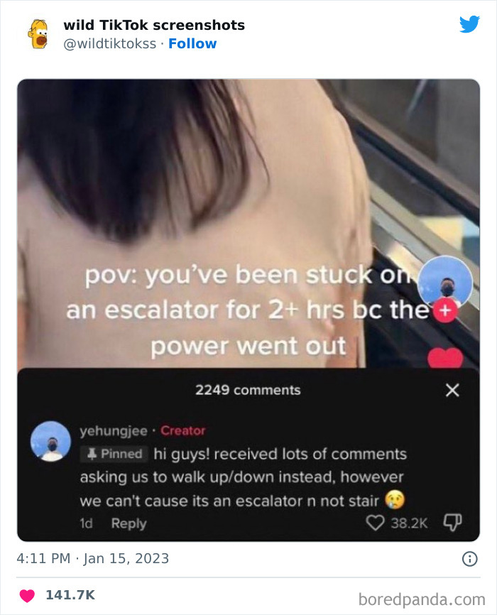 Wild-Screenshots-From-Tiktok