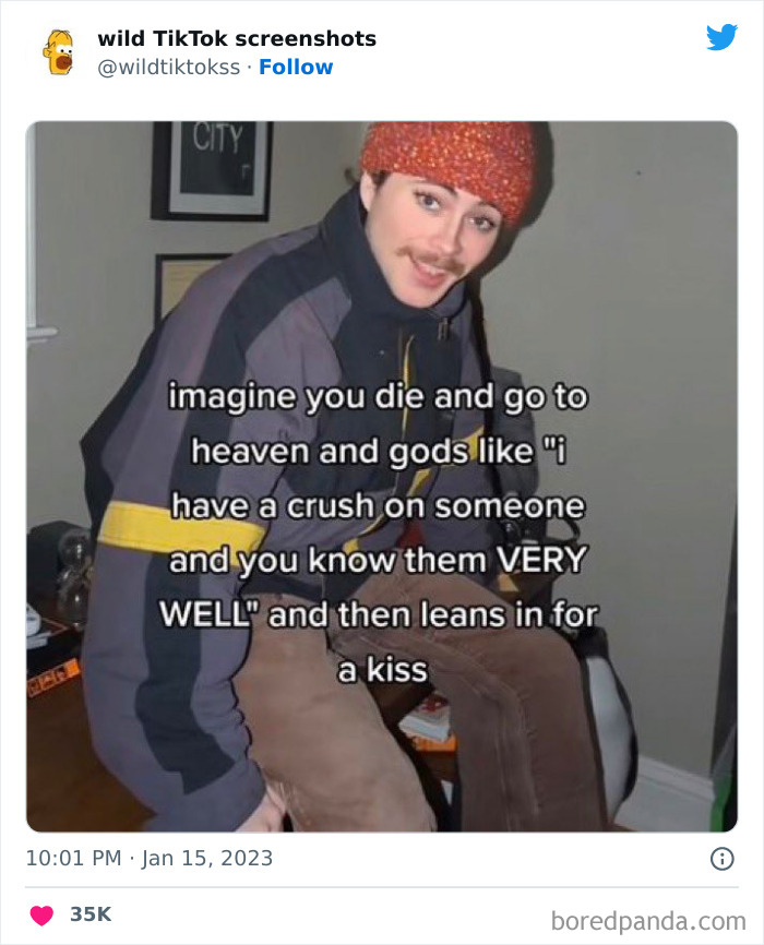 Wild-Screenshots-From-Tiktok