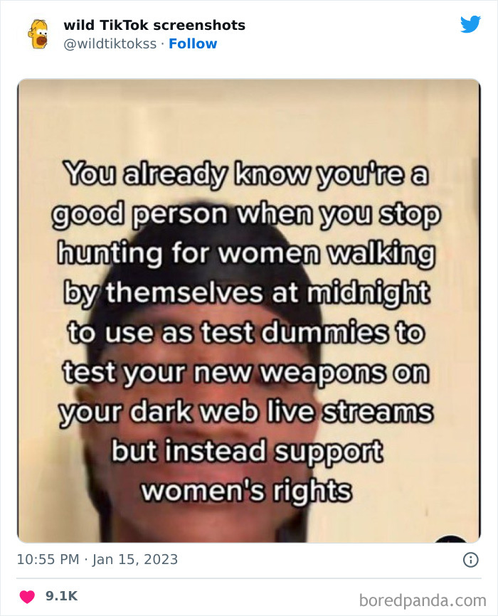 Wild-Screenshots-From-Tiktok