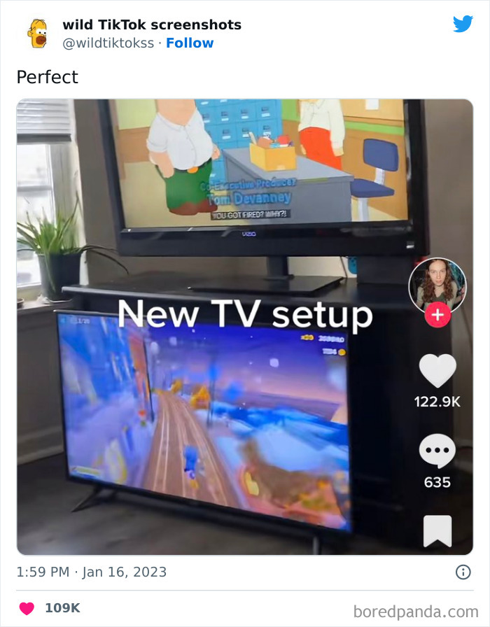 Wild-Screenshots-From-Tiktok