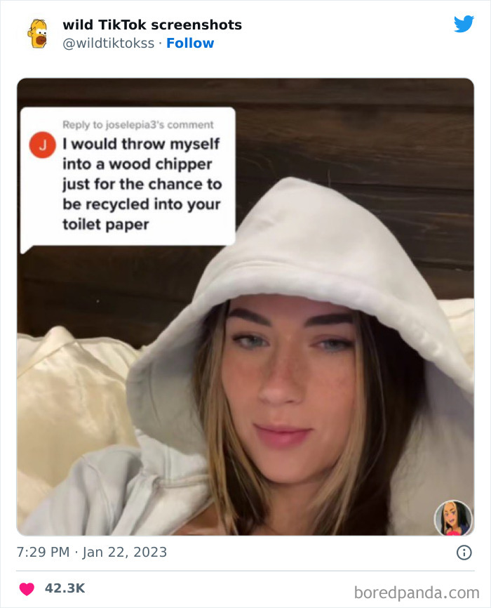 Wild-Screenshots-From-Tiktok