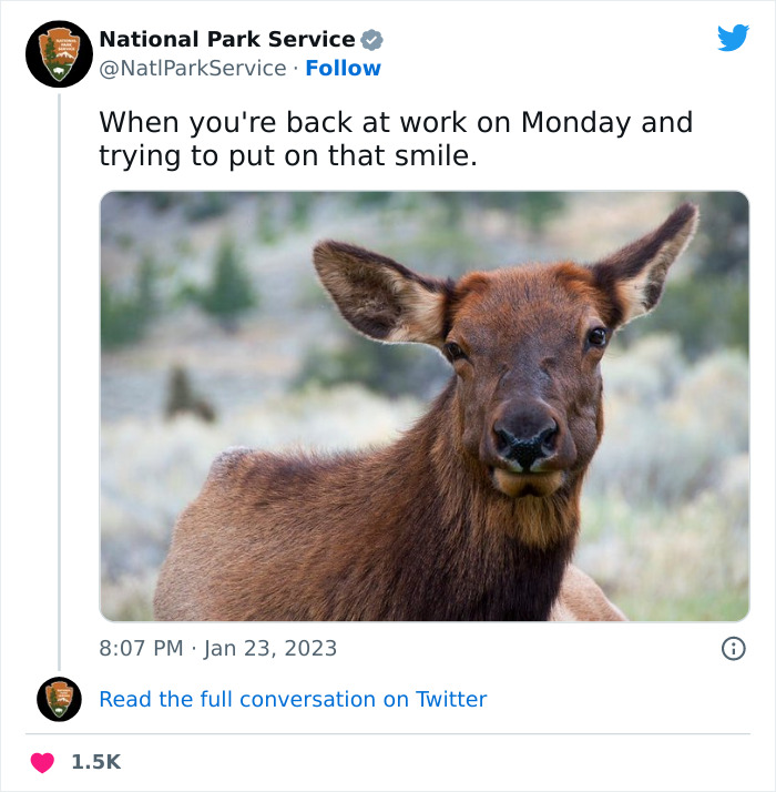 Funny-National-Park-Service-Twitter