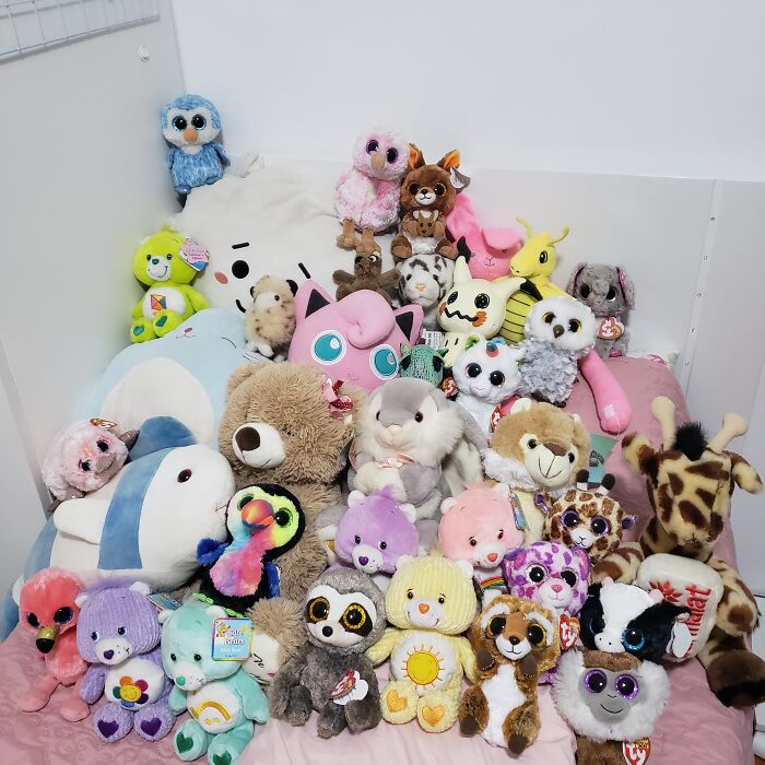 Instructions Not Clear, Which One???