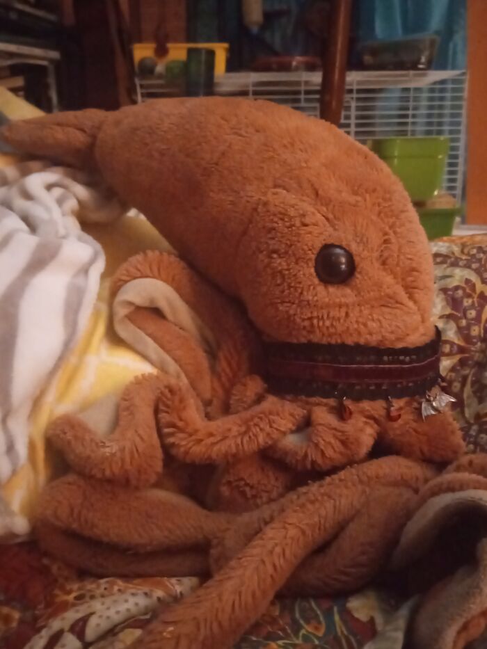 My Stuffed Squid Peaches I Have Had Her Since I Was A Small Child And I Give Her A New Necklace Every Year