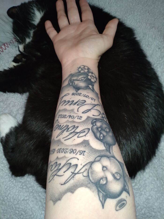 Tattoo of a pet cat on a person's forearm, with a black and white cat lying on a blanket in the background.