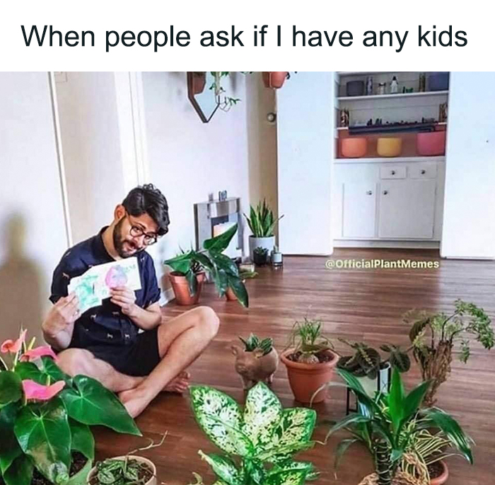 Funny-Childfree-Life-Humor