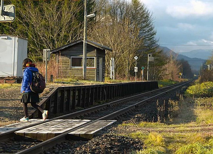 ¿Cuál es el dato más reconfortante que conoces?: Aquí hay 30 respuestas que mejorarán tu día