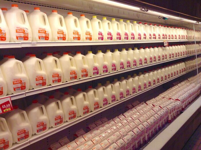 35 Lessons People Admit They Learned Embarrassingly Late In Life, As Shared In This Online Group