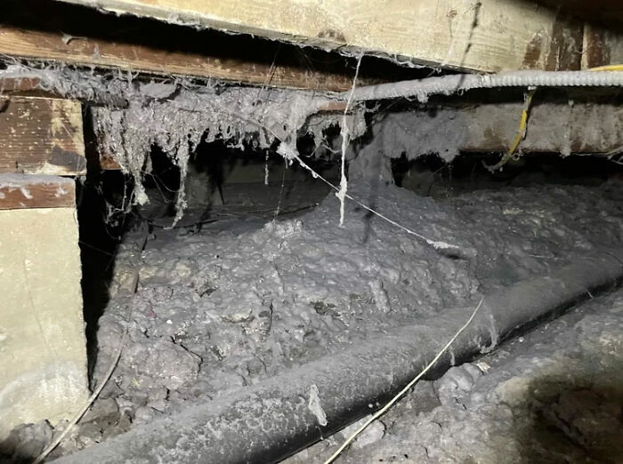 Funny-Dangerous-Structure-Fails