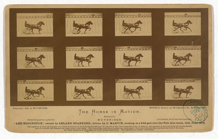 First Photograph Of Motion (1878)