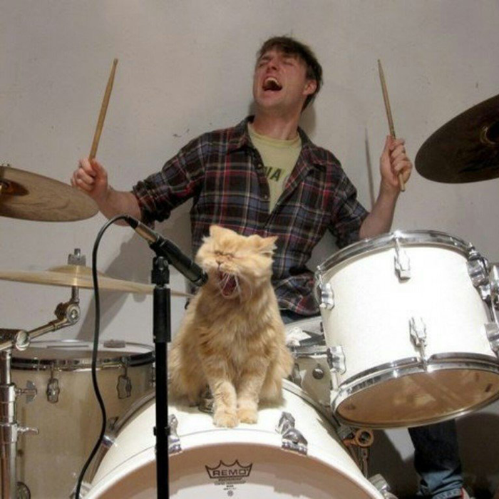 Wife&rsquo;s Lie Surfaces When Husband Decides To Stay Up All Night And Check If His Cats Really Wake His Wife Up