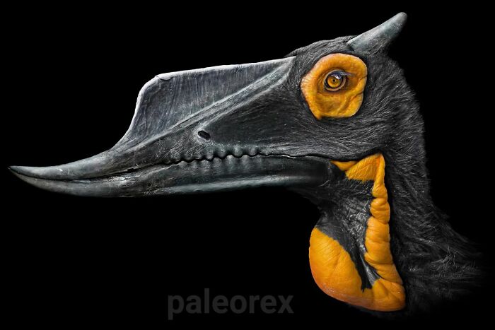 Illustration of a long-extinct animal with detailed features and vibrant orange markings on a black background.