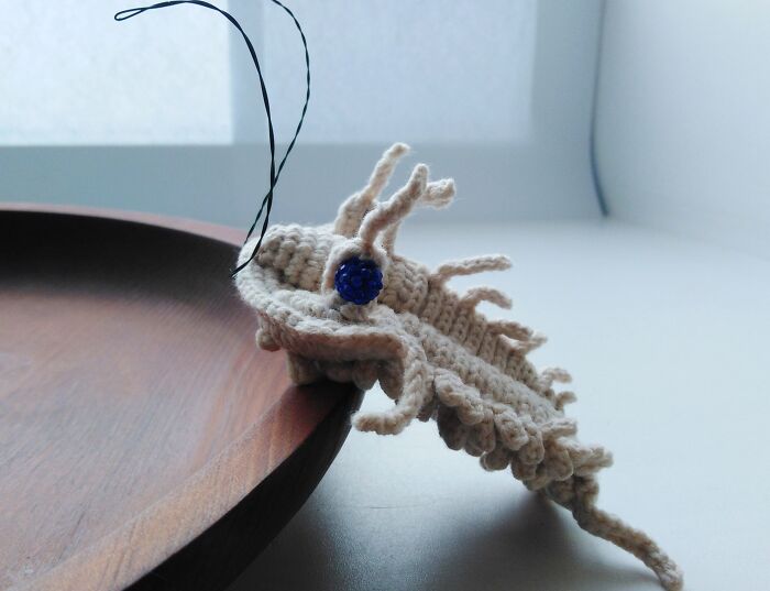 My Trilobite Fossil (4 Pics) My Trilobite Fossil (4 Pics)