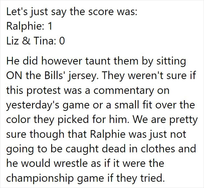 Animal Shelter Can't Say Much Good About This French Bulldog So They Make Up A Great Post Exposing His Shortcomings In Detail