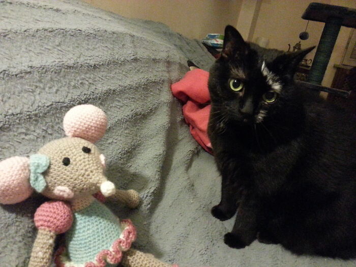 Something I Made A Few Years Ago