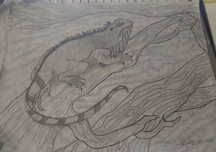 Did This When I Was 13. I Could Probably Do Much Better Now. :)