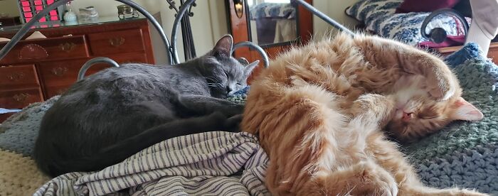 Fubar Jones & Snafu James. Yes, They Live Up To Their Names